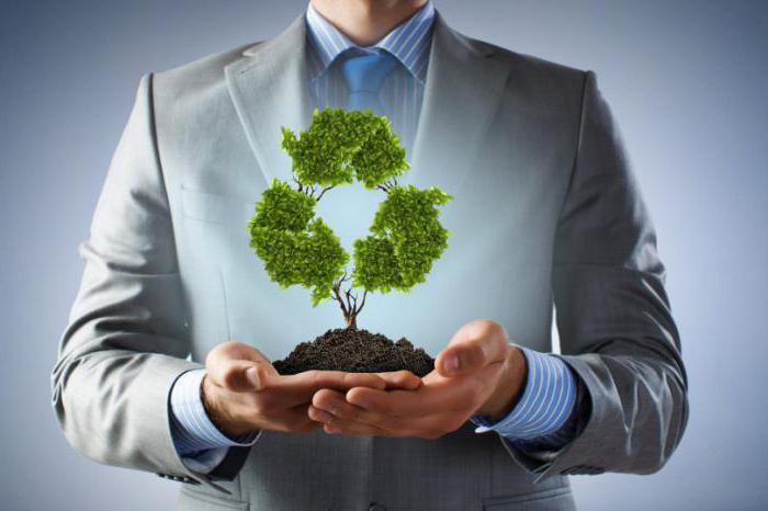 Регулирование и стандарты: роль государственных органов в установлении стандартов и требований для утилизаторов, а также в обеспечении соблюдения экологических норм