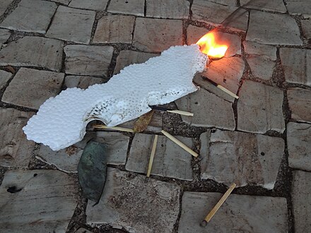 Почему в России запрещено сжигать мусор на своем участке?