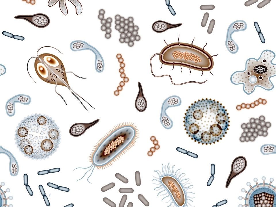 Микроорганизмы по всему миру мутируют, чтобы питаться пластиком.