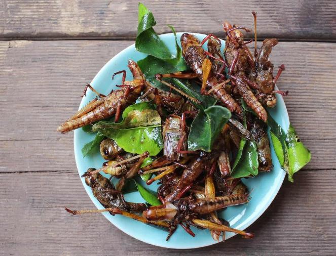 Экологичное меню европейцев: сверчки и червячки. Приятного ли аппетита? 