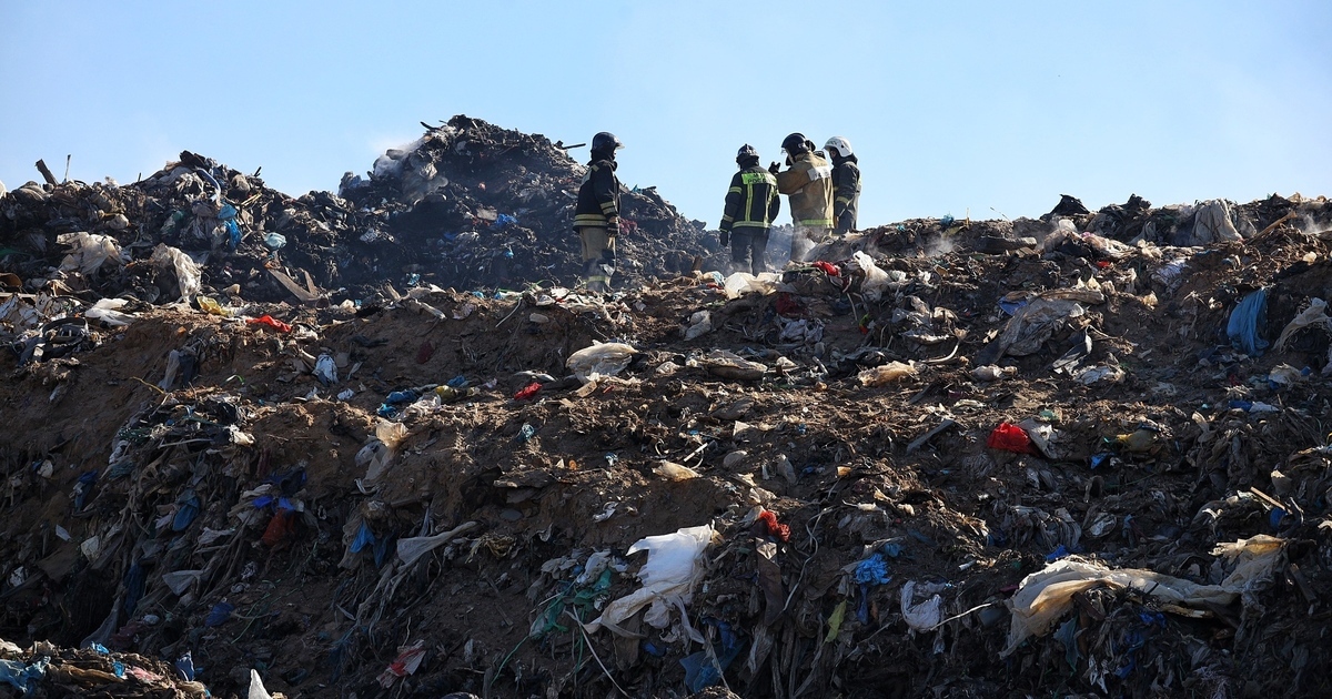 Создание и ведение реестра утилизаторов: процессы и технологии, используемые для создания и поддержания актуального реестра утилизаторов, а также его роль в управлении отходами