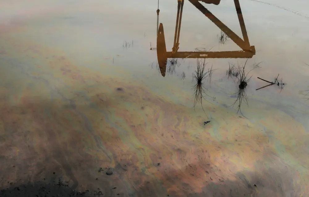 Чем убрать нефтяное пятно? Попробуйте волосами