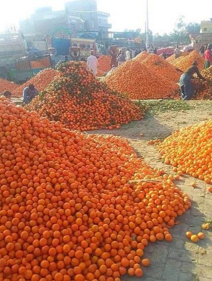 Энергия с витамином С