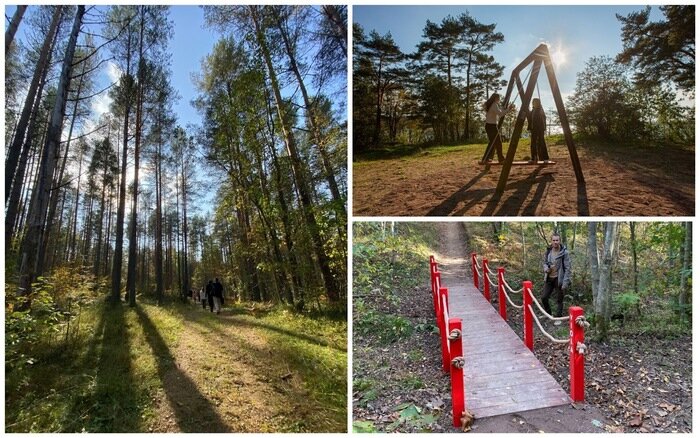 Полимерпесчаный маршрут для прогулок.