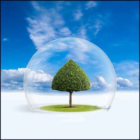 Экологическая ответственность компаний: обзор лучших практик и инициатив, которые компании могут внедрять для повышения своей экологической ответственности через использование сертифицированных утилизаторов